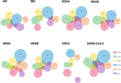 Combining different bacteria in vaccine formulations enhances the chance for antiviral cross-reactive immunity: a detailed in silico analysis for influenza A virus